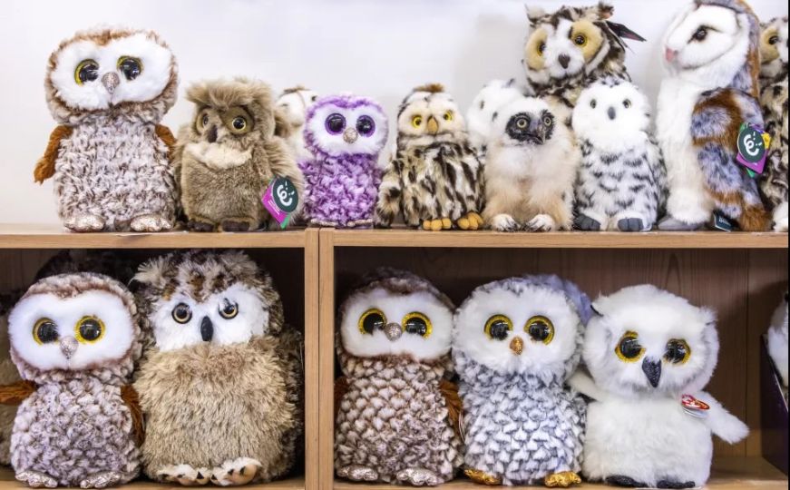 Svi mogu vidjeti igračku sovu, ali samo oni s genijalnim IQ-om mogu pronaći pravu za 7 sekundi