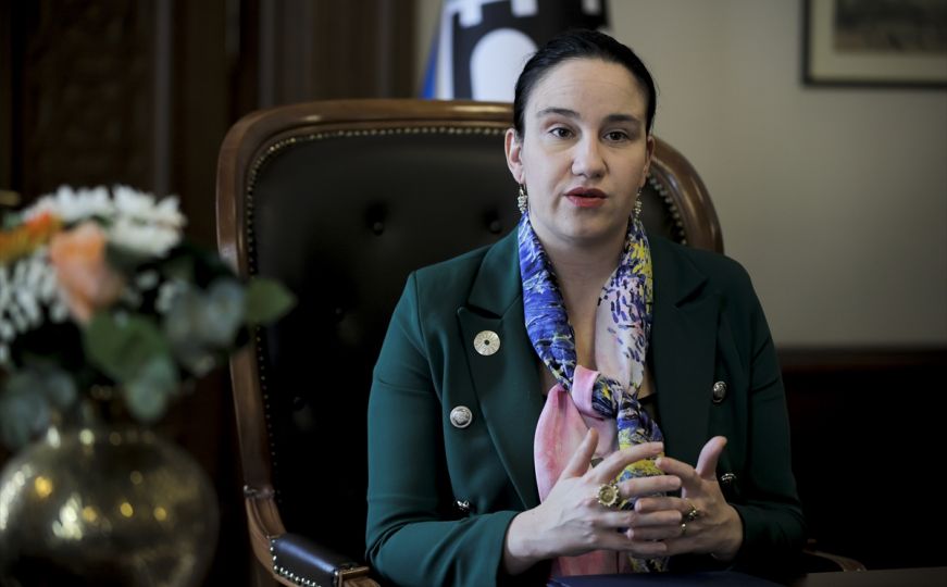 Karić: "Dodjela Šestoaprilske nagrade Udruženju BIMA poraz je principa pravde i odgovornosti"