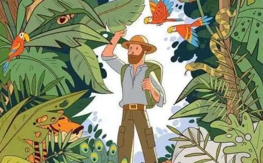 Mozgalica koja je mnogima zadala probleme: Možete li pronaći pingvina skrivenog u džungli?