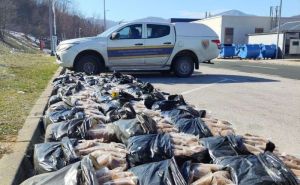 Sarajevo: Uprava za indirektno oporezivanje oduzela pola tone rezanog duhana