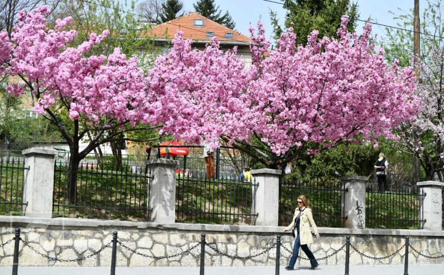 Objavljena dugoročna prognoza za proljeće: Kakvo će vrijeme biti u Europi?