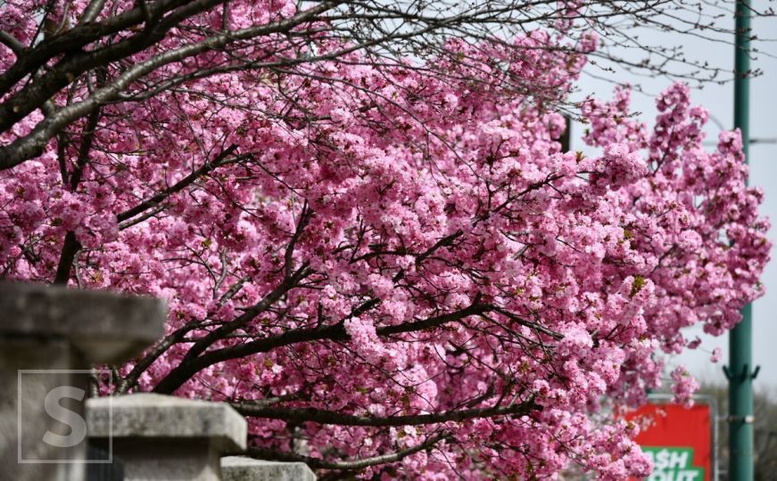 Narodna meteorologija: Danas "udara" drugo džemre, a evo šta to znači prema vjerovanjima
