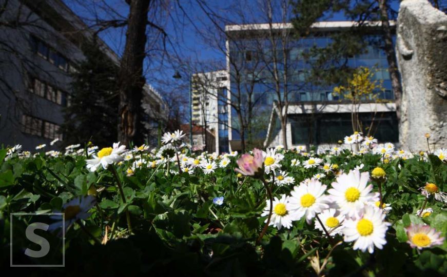 Oglasio se BH Meteo: "Narednih dana buđenje vegetacije i temperature do 20°C, jutra sve toplija"