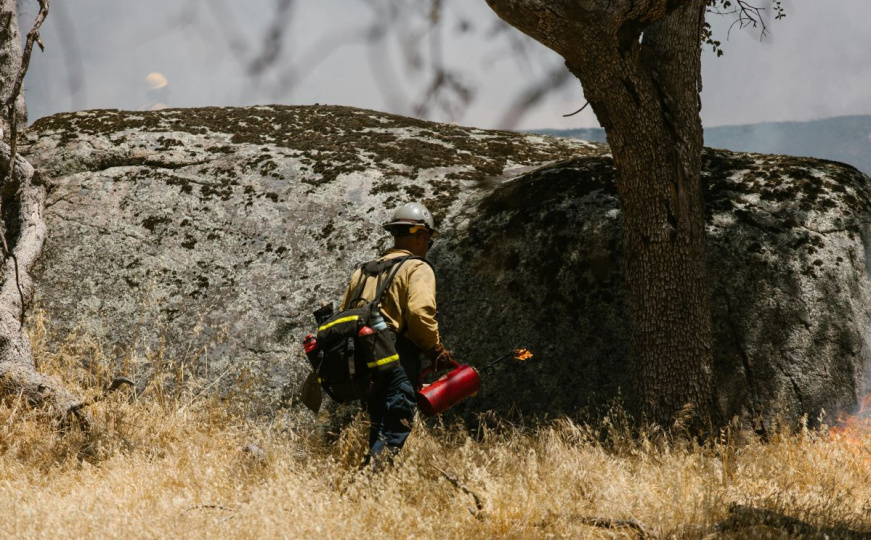 Požar na Trebeviću: Vatrogasci na terenu