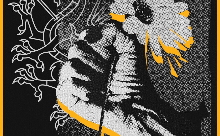 Inspirisani hardcore zvukom devedesetih: Beogradski youth crew bend "Neven" 15. marta u Sarajevu