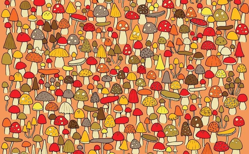 Brzo, dok nije pobjegao: Miš se sakrio iza gljive, pronađite ga za 20 sekundi kao pravi detektiv