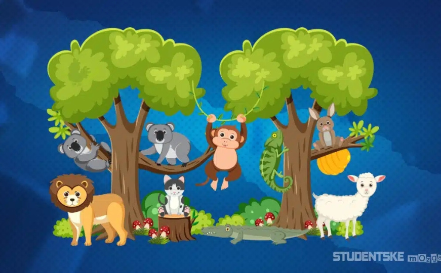 Mozgalica samo za one sa savršenim fokusom: Pronađite skrivenu kokošku za manje od 15 sekundi