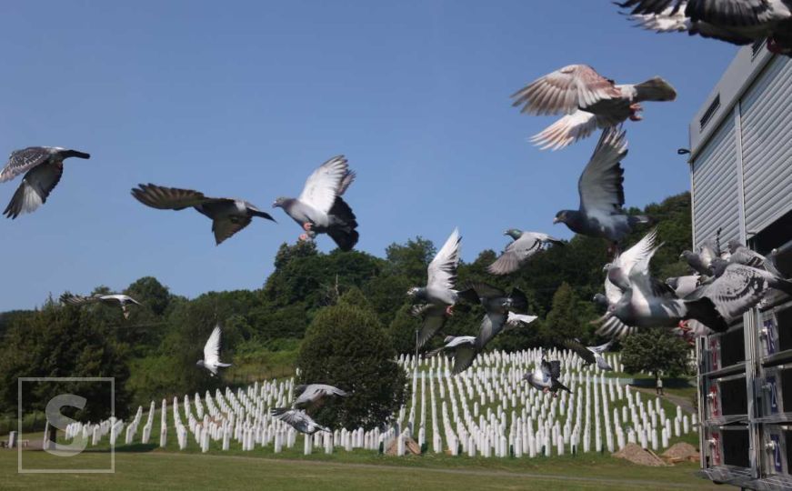 Do sada za ukop na kolektivnoj dženazi u Potočarima spremni posmrtni ostaci četiri žrtve