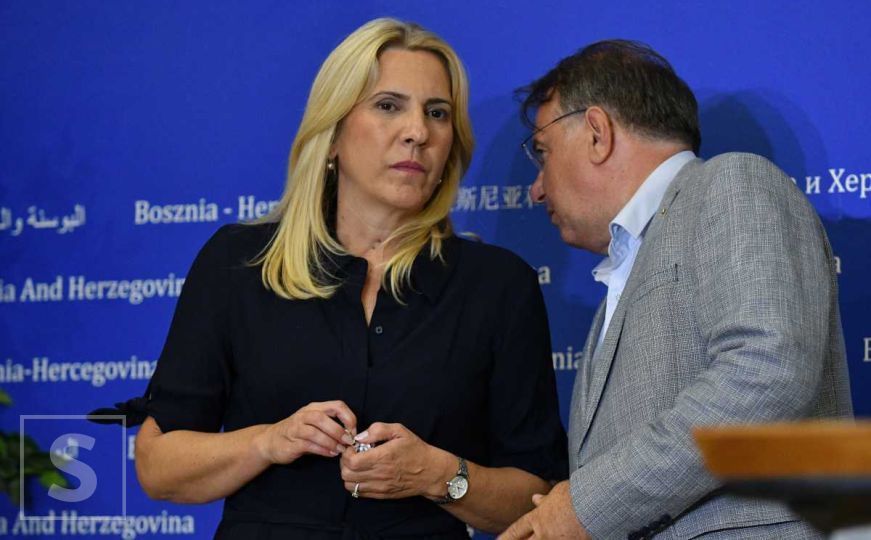 Laži u režiji Željke Cvijanović, u EU Parlament dostavila "Non Paper": "U Sarajevu napadaju Srbe"