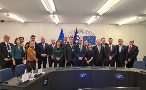 Počela sjednica POSP-a: Stabilnost BiH ključna za nastavak reformi i napredak ka članstvu u EU