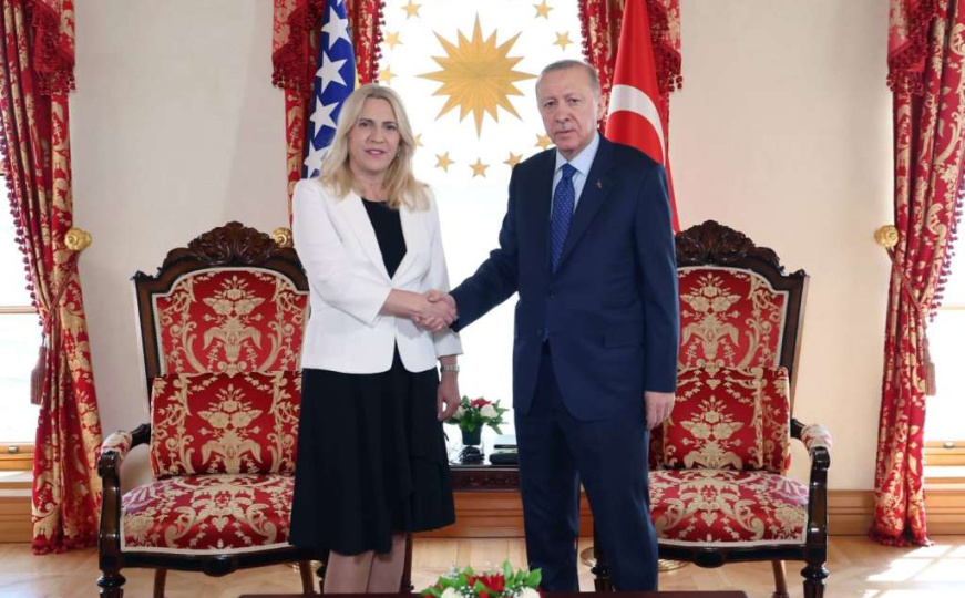 Cvijanović se sastala sa Erdoganom, razgovarali o krizi u BiH: Evo kako ga je 'informisala'