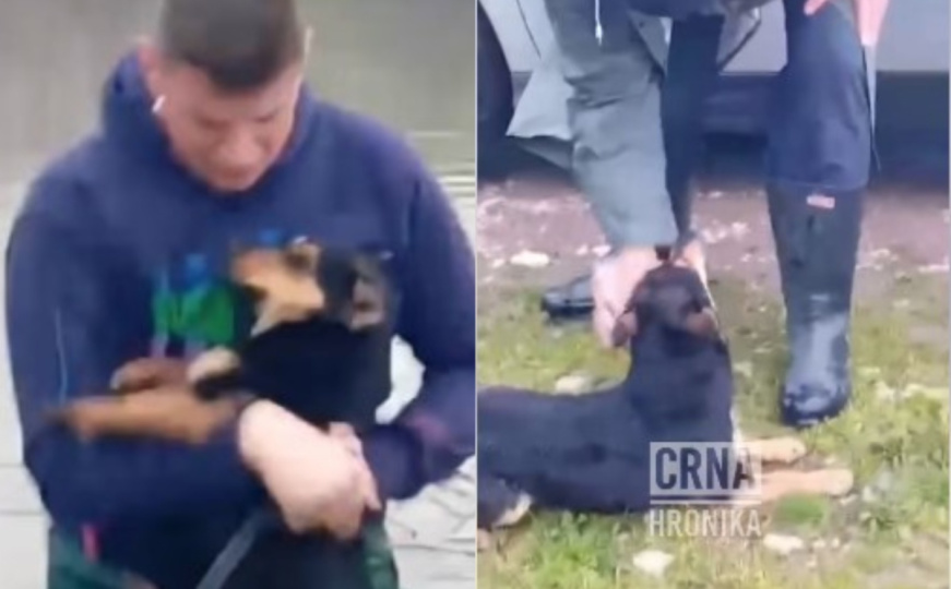 Humanost i hrabrost na djelu: Muškarac spasio malog psa iz nabujale rijeke u Živinicama