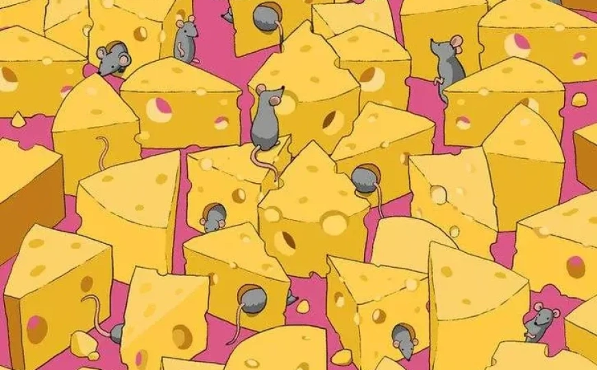 Izazov za sve sa 'okom sokolovim': Nađite kocku u hrpu sireva koje su miševi donijeli za večeru