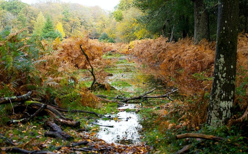 Stručnjakinja za putovanja naglašava: Ovu zemlju morate posjetiti barem jednom u životu