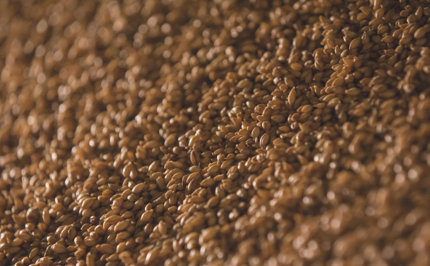 Prirodni eliksir za zdravlje kože, kose i zglobova: Ova žitarica  je puna kolagena