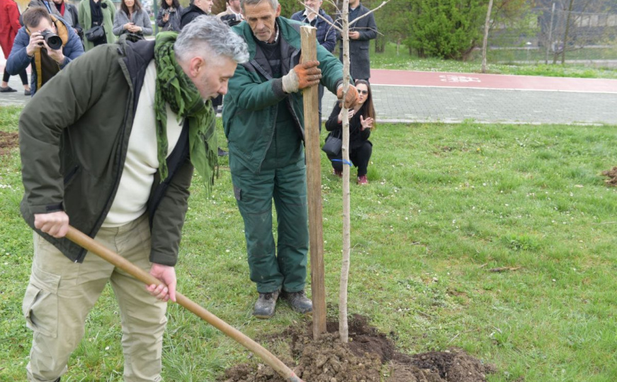 "Modul Memorije": Posađena stabla u spomen na poginule i preminule umjetnike Sarajeva