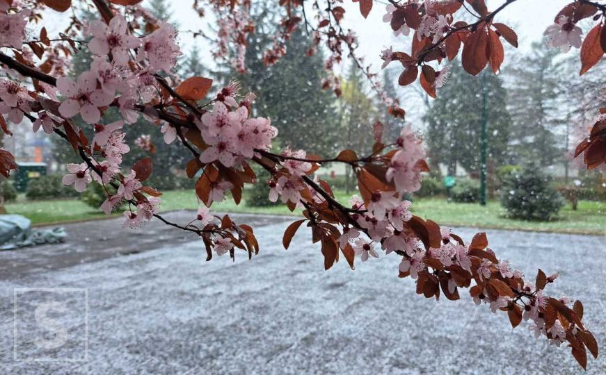 Proljeće na čekanju: Najavljeni minusi, poznati bh. meteorolog otkrio kada će biti najhladnije