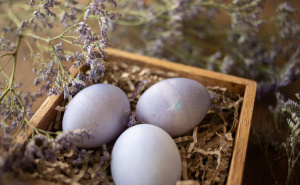 Jednostavna starinska tehnika: Ofarbajte jaja u vinu i dobit ćete predivnu ljubičastu boju