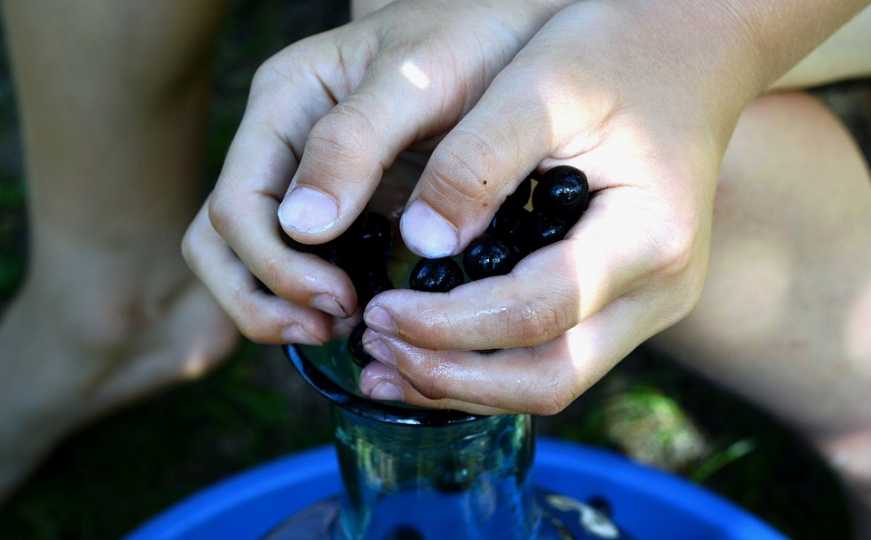 Ne košta puno, a vrijedi zlata: Voće koje pomaže srcu, jetri i imunitetu