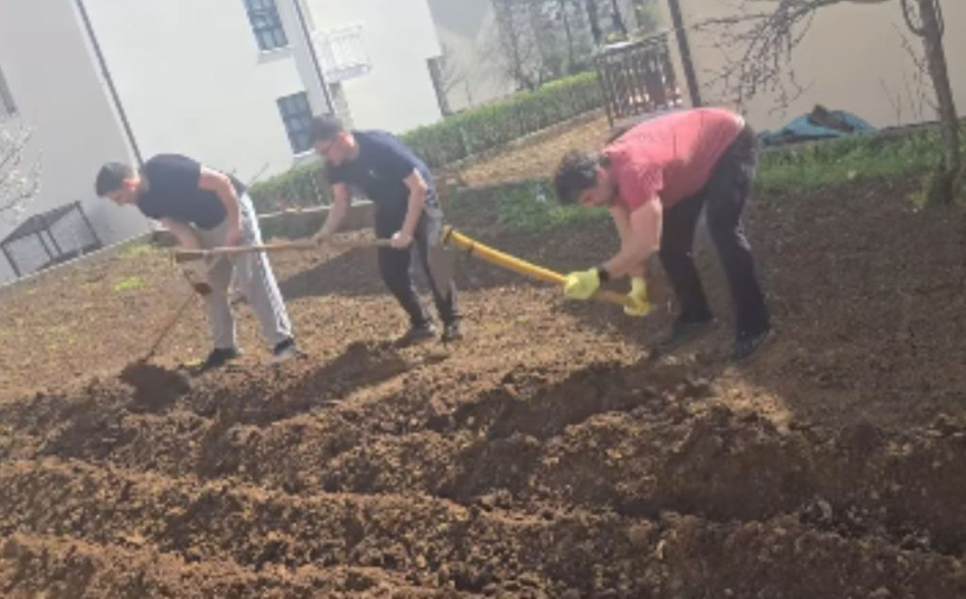 'Srce, ruke i lopata': Slavni glumac nakon dodjele Oscara sadi krompire u BiH
