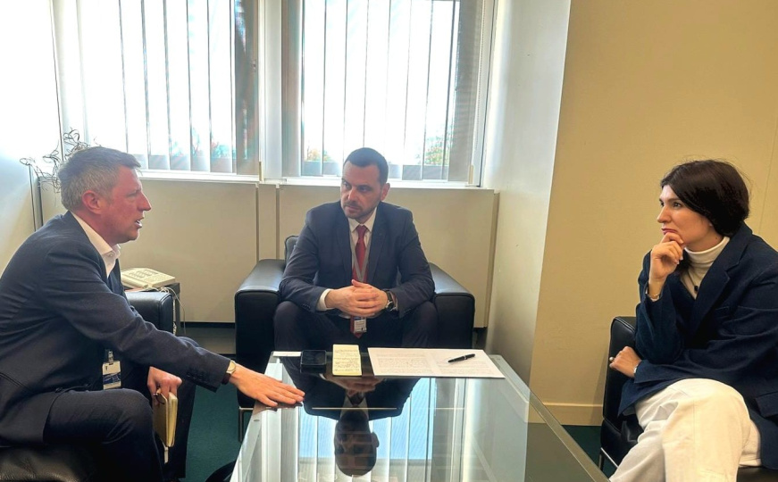 Ćudić i Magazinović iz Strazbura: 'Osigurati vojnu podršku Velike Britanije za očuvanje mira u BiH'