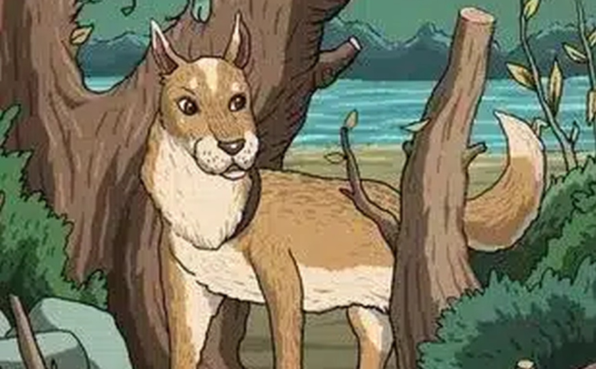 Mozgalica samo za one s visokim IQ: Tri posto ljudi će pronaći skrivenu mačku za manje od 10 sekundi