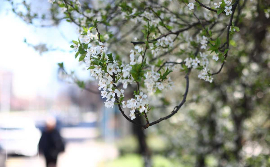 U Sarajevu jutros 7°C, za danas najavljuju 19 stepeni: Pročitajte i kakvo će vrijeme biti do utorka