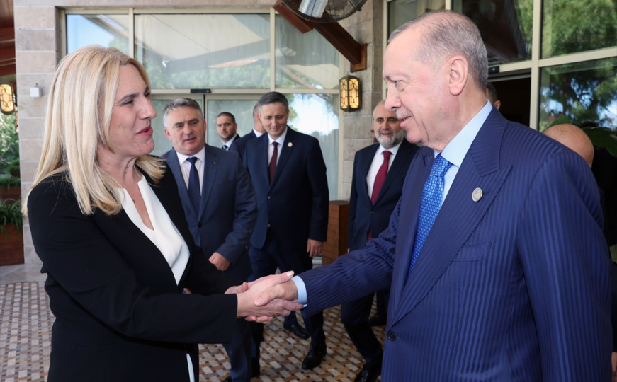 Željka Cvijanović nakon sastanka sa Erdoganom: "Komšić i Bećirović su samo spominjali Dodika"