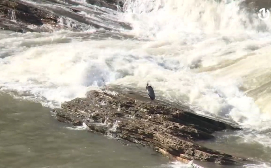 Izgradnja hidroelektrana na rijeci Bosni predmet sporova: Godinama čeka na realizaciju