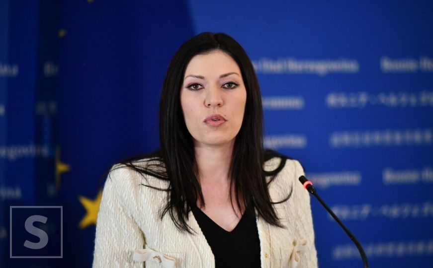 Dragan Bursać: Ni pameti, ni diplome Sanje Vulić!