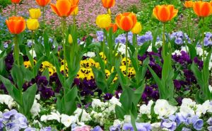 April je ključni mjesec za sadnju biljaka: Požurite i pripremite svoj vrt za ljeto