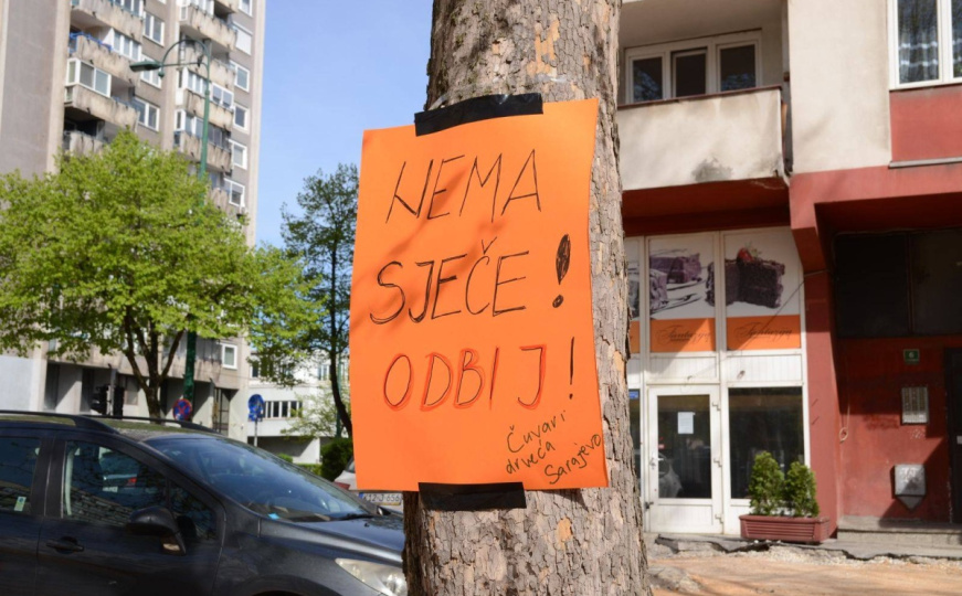 Šta se dešava u naselju Hrasno: Pojedini žele posjeći zdrava stabla, pojavili se i "čuvari drveća"?!