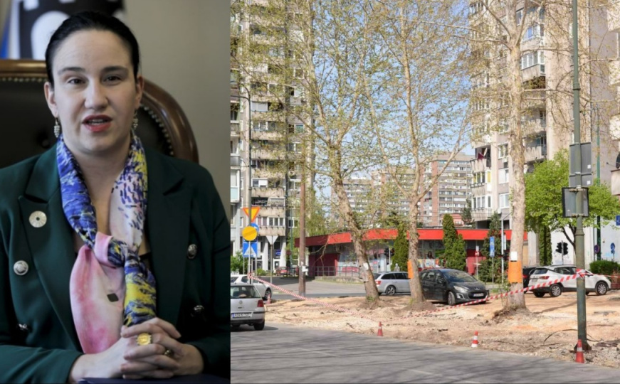 Benjamina Karić: Stabla u naselju Hrasno će biti sačuvana