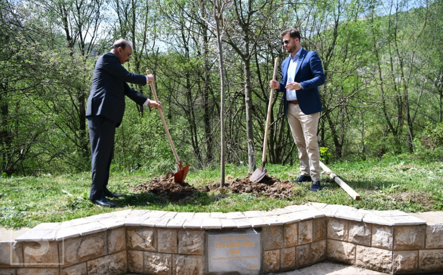Aleja ambasadora bogatija za četiri stabla: Nastavljena simbolična tradicija mira i prijateljstva