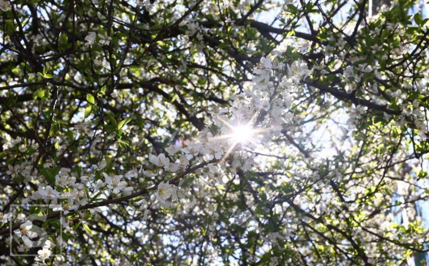 Meteorolozi najavili 'obilje sunčanog vremena': BH Meteo donosi lijepe vijesti za početak sedmice