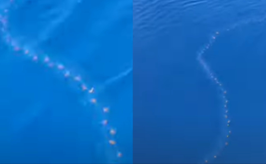 Bizarni prizori: Svi se pitaju - šta je ovo snimljeno u moru kod Drvenika