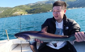 Rijetka pojava u Jadranu snimljena kod Neuma: Ribarima se "na udici" našao morski pas lisica