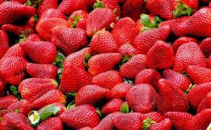 Želite da vam biljka jagode rodi više kvalitetnih plodova? Poslušajte ovaj savjet vrtlara