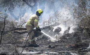Požari u Izraelu pod kontrolom: Nekoliko vojnika ostalo zarobljeno u vatrenoj stihiji