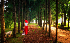 Finski model sreće: Ove 3 svakodnevne navike čine ih najsretnijim na svijetu