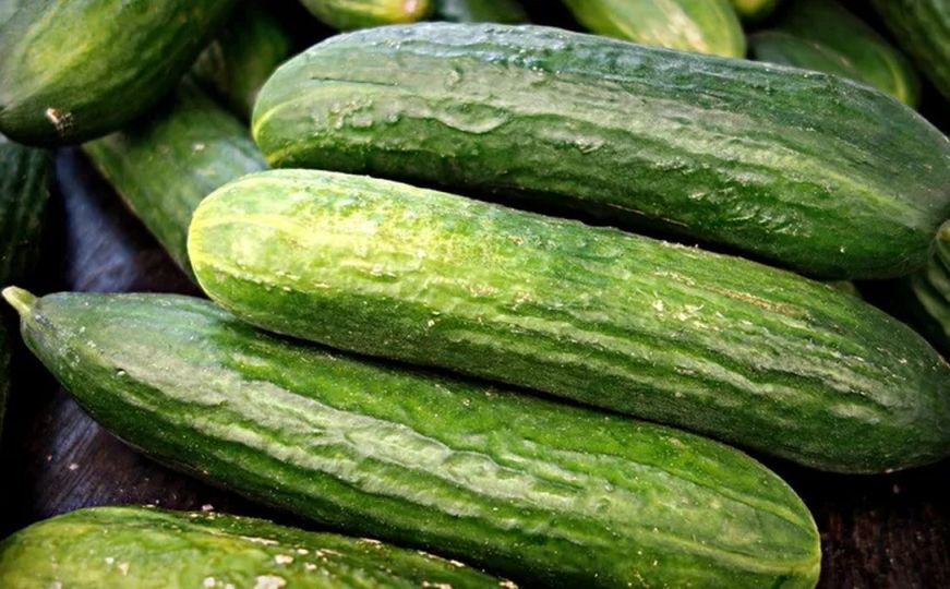 Savršeni krastavci iz vlastite bašte: Kako da ih uzgojite, a da ne budu gorki
