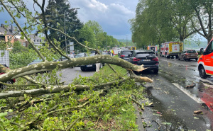 Jako nevrijeme pogodilo Njemačku: Povrijeđeni vozači, srušena stabla, požari i haos na cestama
