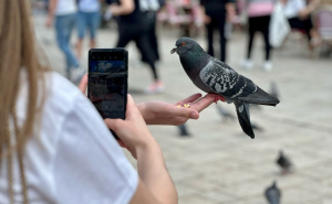 U pojedinim dijelovima kiša je već počela padati: Pročitajte kakvo će nam vrijeme biti do četvrtka