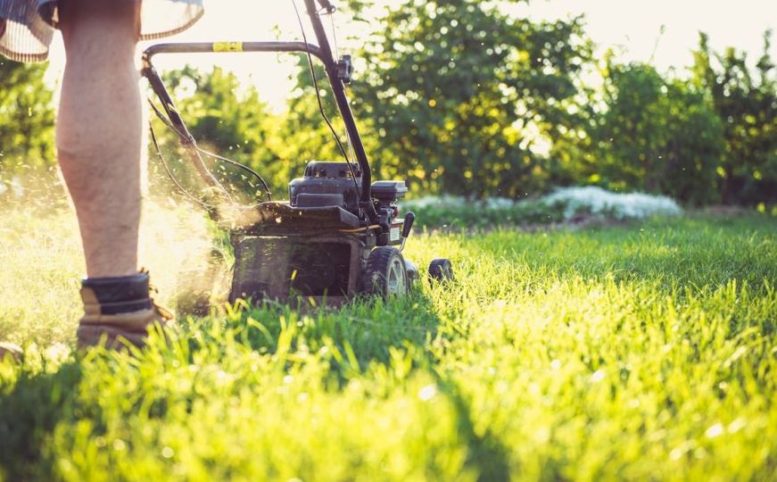 Novi trend u održavanju travnjaka: Stručnjavi savjetuju prihvatanje prirodnijeg izgleda dvorišta