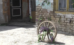 Praznik proljeća i prirode: Danas je Đurđevdan, a evo kako se obilježava