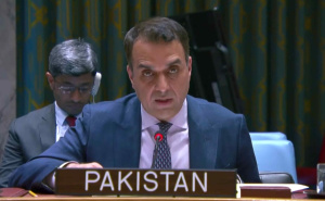 Pakistanski ambasador pri UN-u: Vlasti RS guraju BiH u sukob, odbacujemo separatističku retoriku