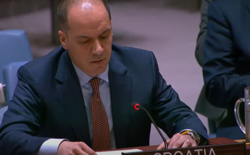 Hrvatska kritikovala Schmidta zbog njegovog fokusa: 'Izborna reforma mora biti najviši prioritet'