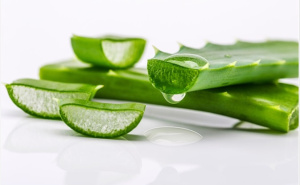 Zelena moć prirode: Za šta je sve dobra aloe vera?