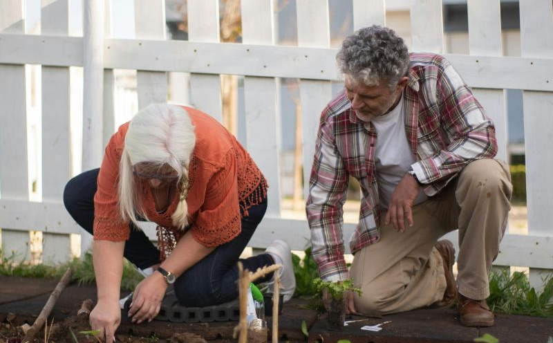 Zdravo, održivo i dostupno svima: Sve što trebate znati o voću sa asfalta
