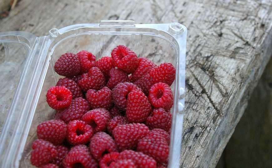 Ovo moraju znati svi vrtlari: Zašto je mjesec maj ključan za uzgoj malina?
